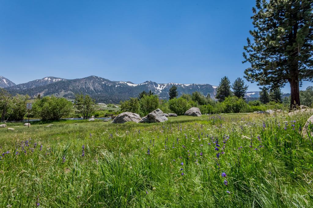 Holiday home Mammoth Creek Mammoth Lakes