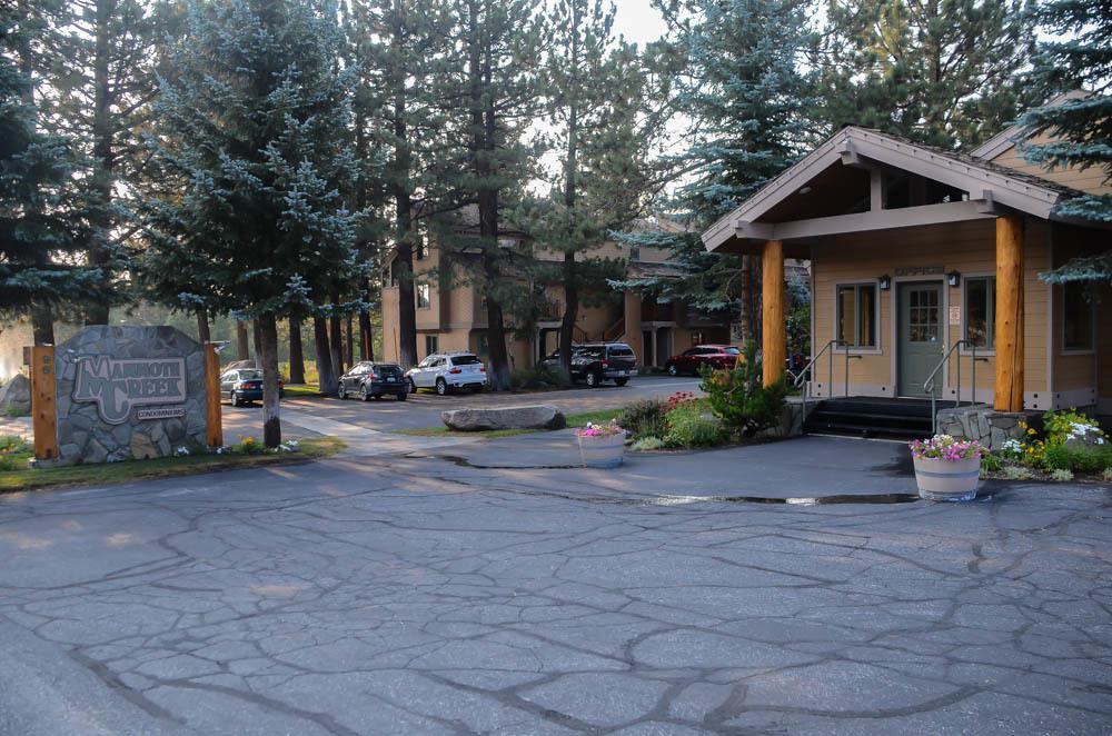 Mammoth Creek