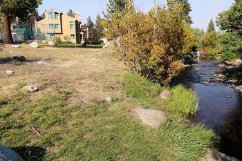 Mammoth Creek * Mammoth Lakes