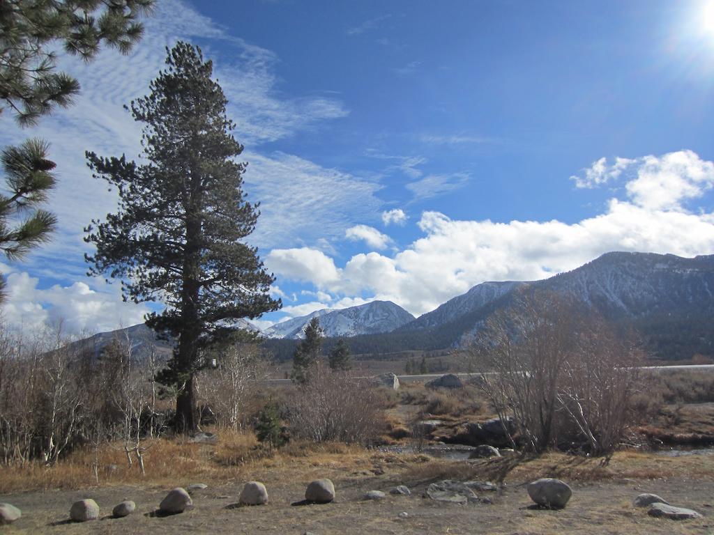 Ferienhaus Mammoth Creek *